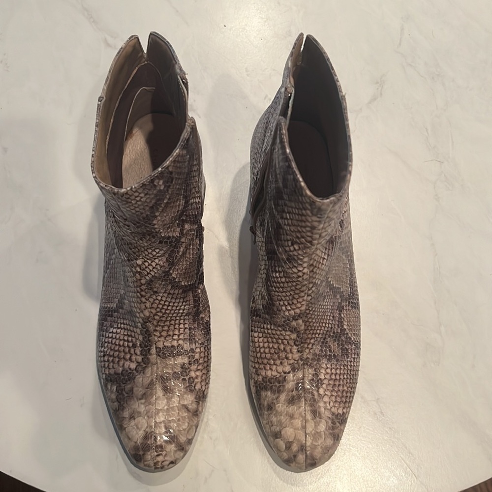 Python Print Ankle Boots. Worn Once:) - image 2